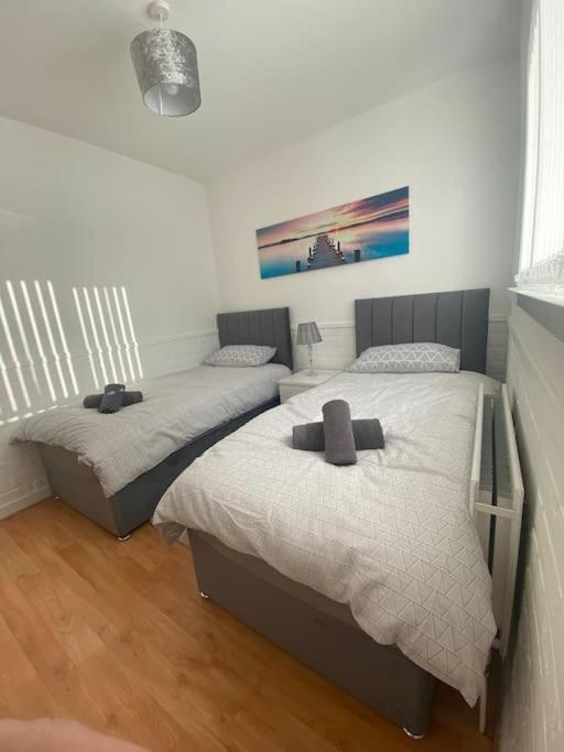 Modern Two Bed House Close To Centre Apartment Belfast