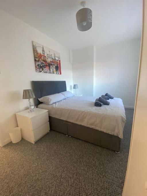 Modern Two Bed House Close To Centre Appartement Belfast